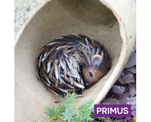 Primus Small Metal Sleeping Hedgehog Garden Decoration
