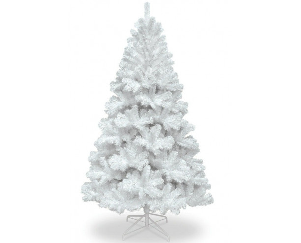 Colorado Spruce 5ft 150cm White