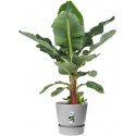 Elho Flower Pot Greenville Round - 40cm - Grey/Living Concrete