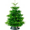 Elho Nordman 52 - Christmas Tree Stand for Indoor - 52.0 x H 20.0 cm - Green