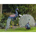 Fountasia Free Standing Peacock - Multi Coloured