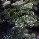 National Tree Company 7.5 Foot Bayberry Spruce Slim Feel-Real Artifical Tree