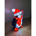 Christmas Acrylic Penguin - 30cm, LED Lights, In or Outdoor Use, Beautiful Item!
