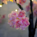 LED Cherry Blossom Twig Tree Pre-Lit Light w/Realistic Flowers - Dark pink - 60cm 