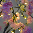 LED Cherry Blossom Twig Tree Pre-Lit Light w/Realistic Flowers - Dark pink - 60cm 