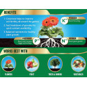 Westland Growmore Balanced Garden Fertiliser For All Plants, 1.5kg 