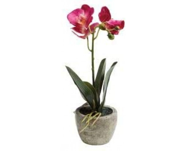 EdenBloom Pink Artificial Potted Orchid 26cm Tall Realistic Everlasting Home Decor