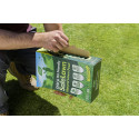 Westland SafeLawn Child and Pet Friendly Natural Lawn Feed 80 m2, Green, 2.8 kg
